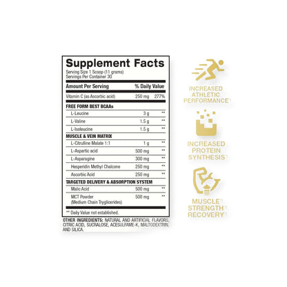 BETTER BEST BCAA 30 SV 33OGR + SHAKER